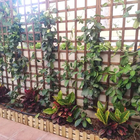 公寓 Hakuna Matata Con Gran Terraza, Planta Baja *